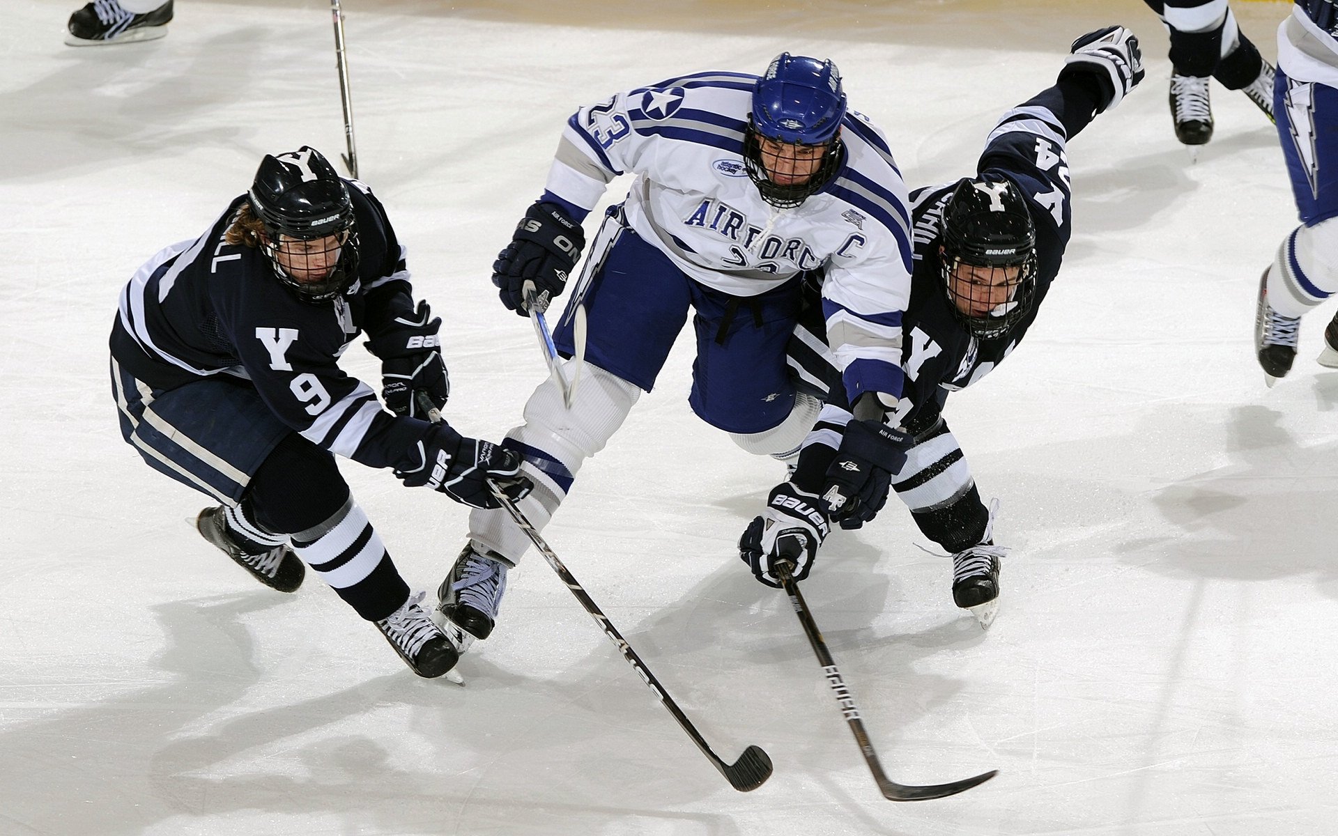 关注多样性体育文化交流的新闻服务平台，多样化体育活动