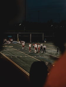 乐鱼体育在线登录-加拿大七人制橄榄球攻势凌厉压制对手，七人制橄榄球哪个国家最厉害