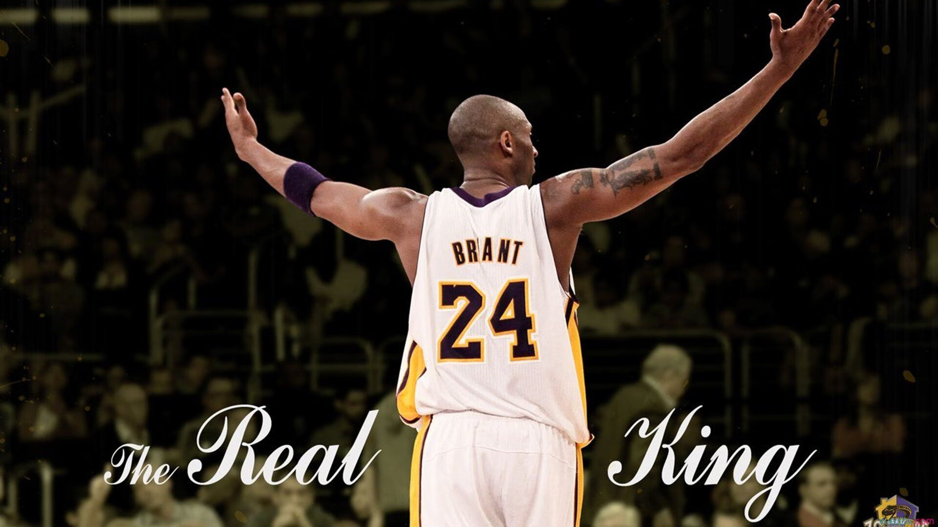 C罗是否需要世界杯?争议背后的人生抉择与足球梦想